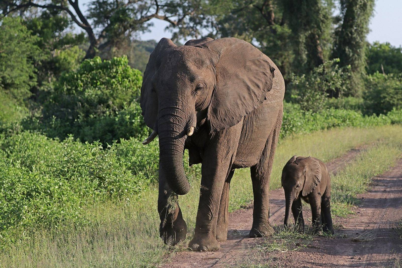 Kenya Photography Adventures