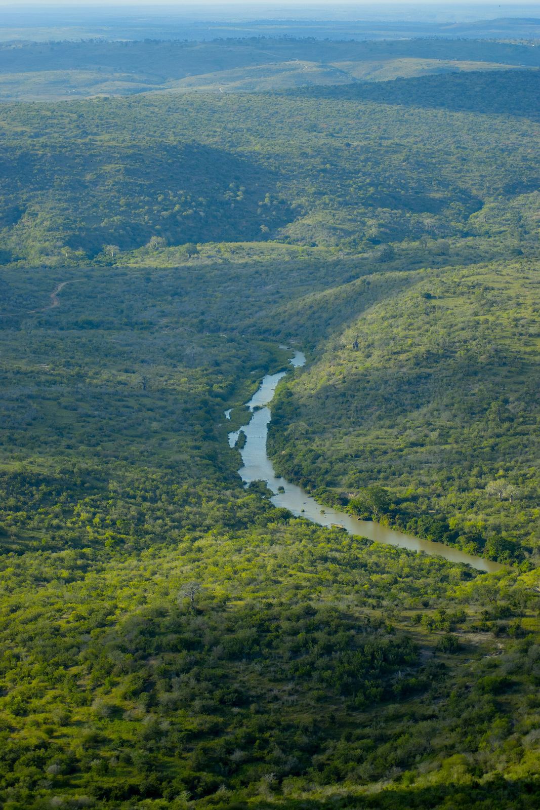 Shimba Hills National Reserve Safari
